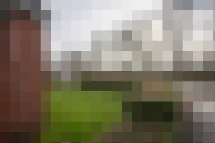 Westerseweg 13 B Zuidwolde thumbnail 34