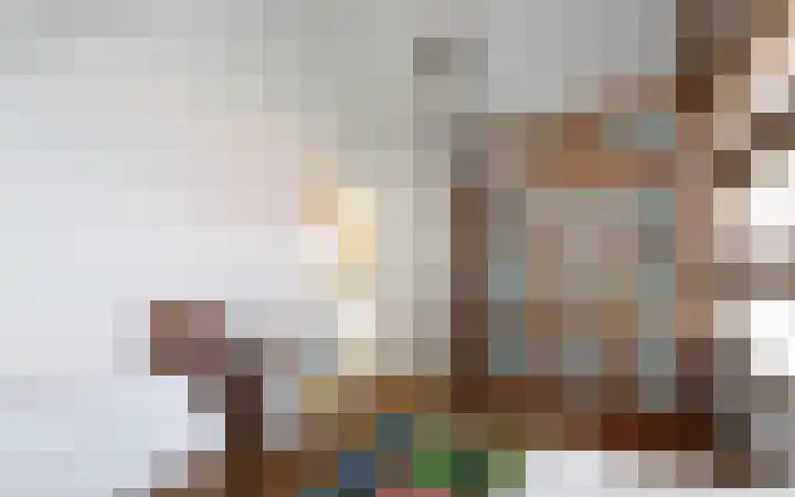 Westerseweg 3 0024 Burgh-Haamstede thumbnail 23