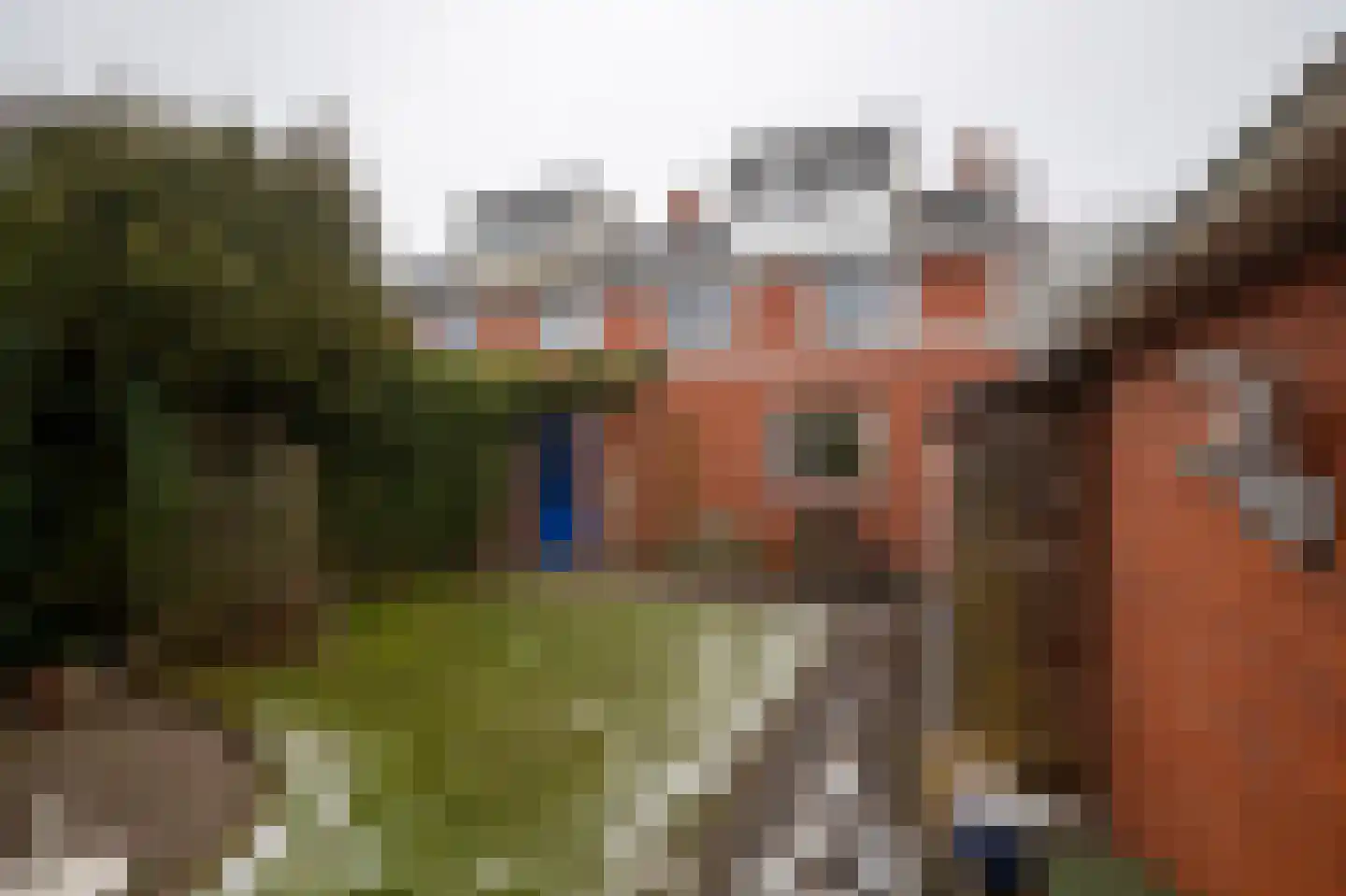 Westerseweg 5 Zuidwolde thumbnail 40
