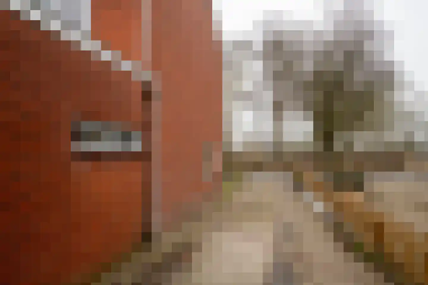Westerseweg 5 Zuidwolde thumbnail 42