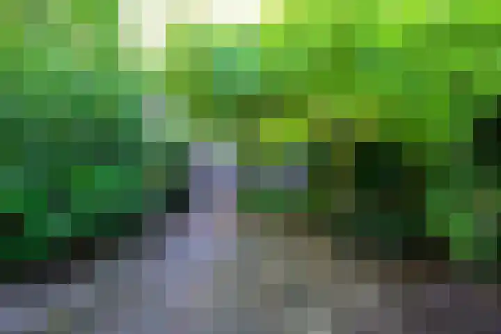 Westersingel 1 A Medemblik thumbnail 39