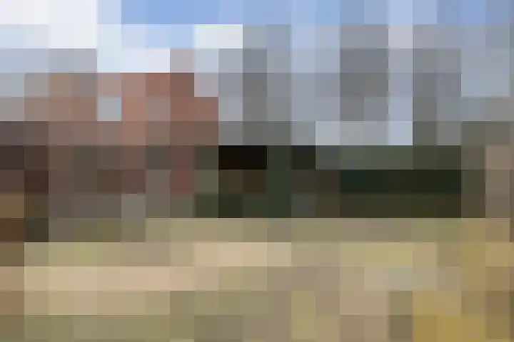 Westersingel 1 Bellingwolde thumbnail 15