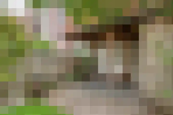 Westersingel 12 Culemborg thumbnail 37