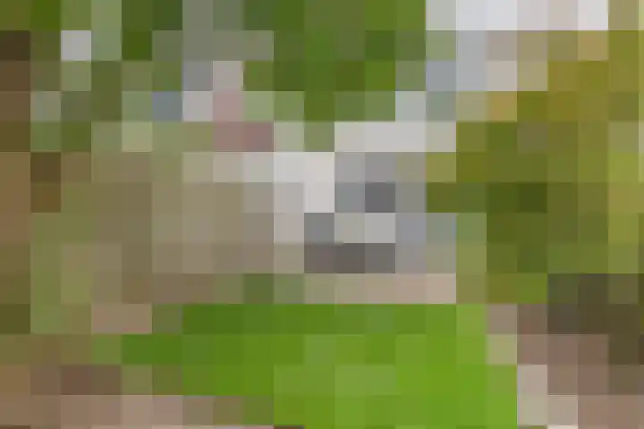 Westersingel 12 Culemborg thumbnail 39
