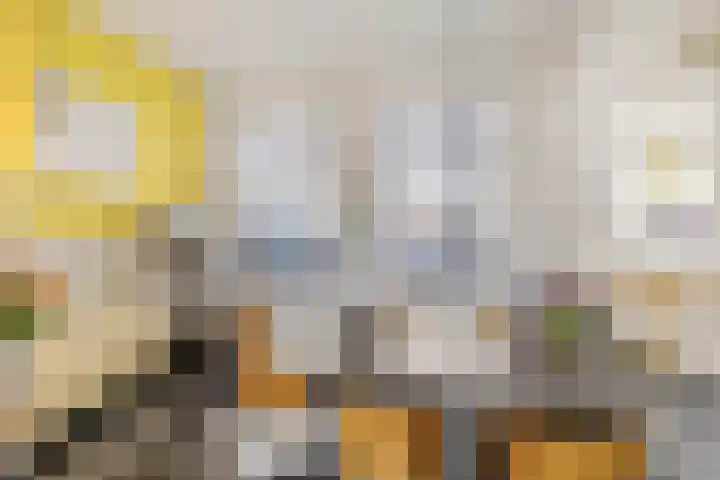 Westersingel 12 Groningen thumbnail 14