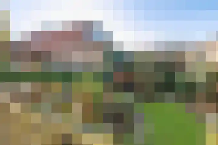 Westersingel 12 Groningen thumbnail 22