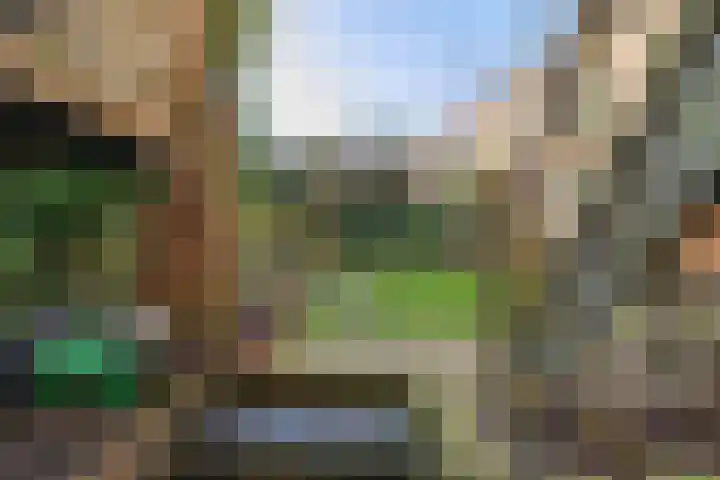 Westersingel 12 Groningen thumbnail 23