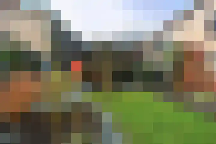 Westersingel 12 Groningen thumbnail 24