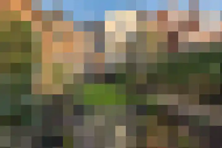 Westersingel 12 Groningen thumbnail 26