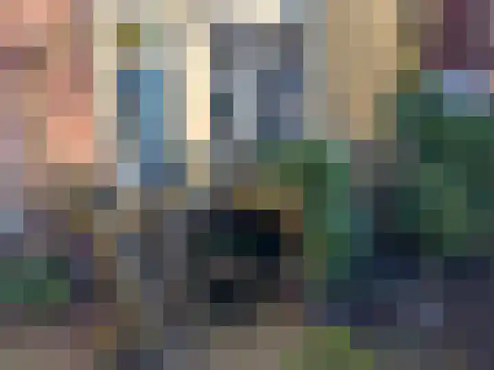 Westersingel 12 Groningen thumbnail 83
