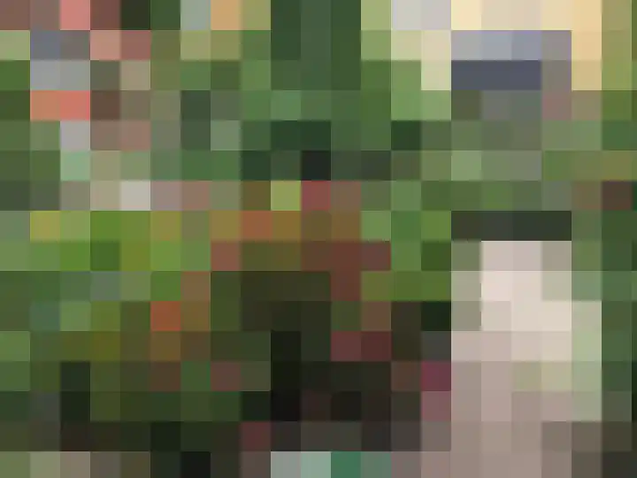 Westersingel 12 Groningen thumbnail 85