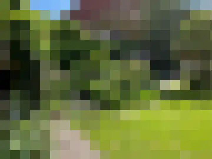 Westersingel 12 Groningen thumbnail 86