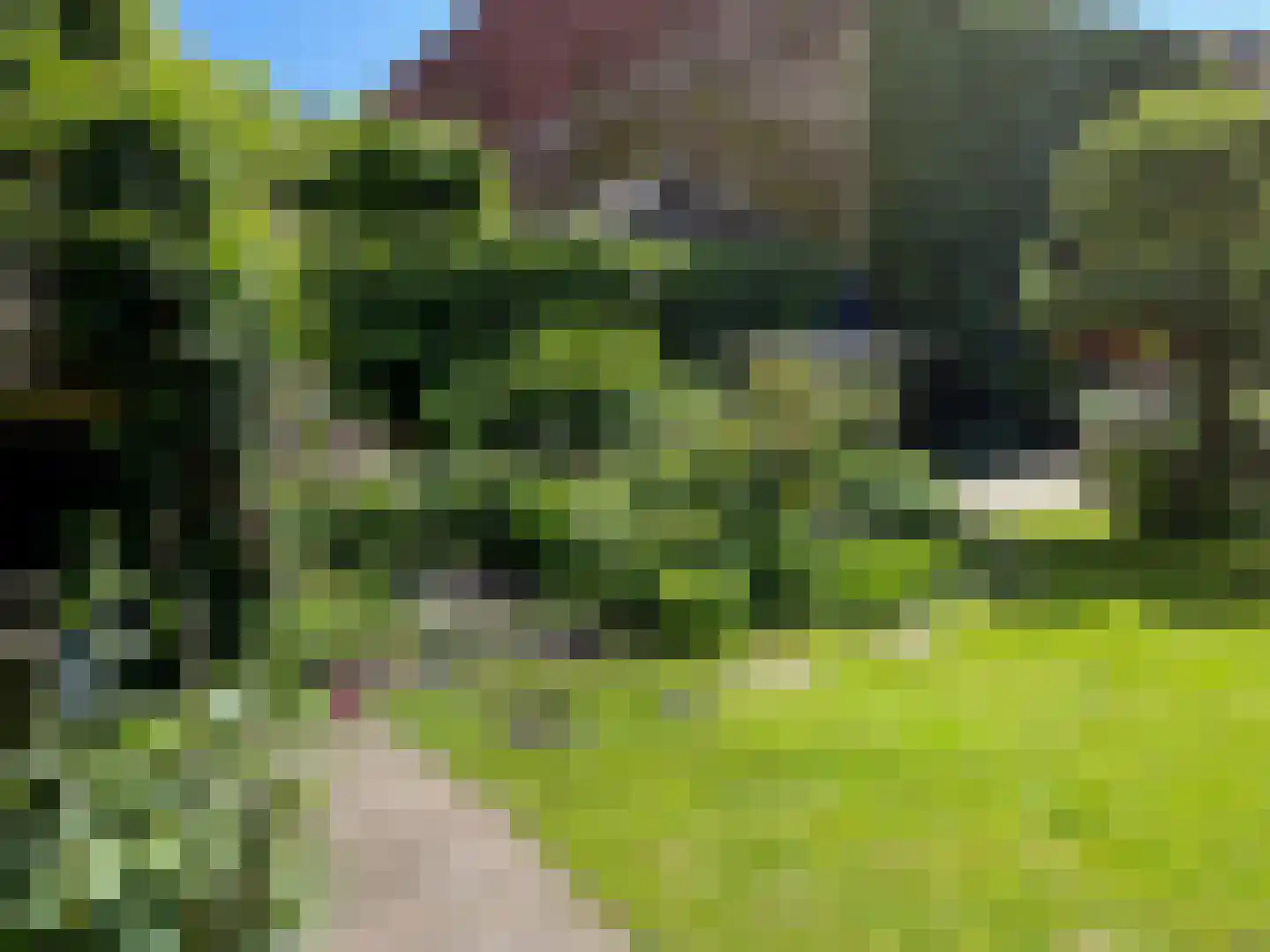 Westersingel 12 Groningen thumbnail 86