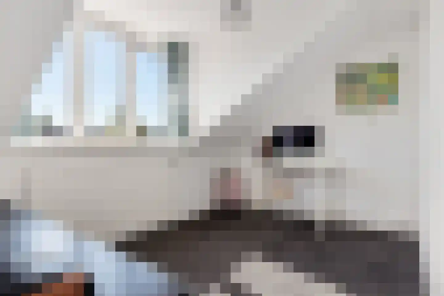Westersingel 13 Appingedam thumbnail 34