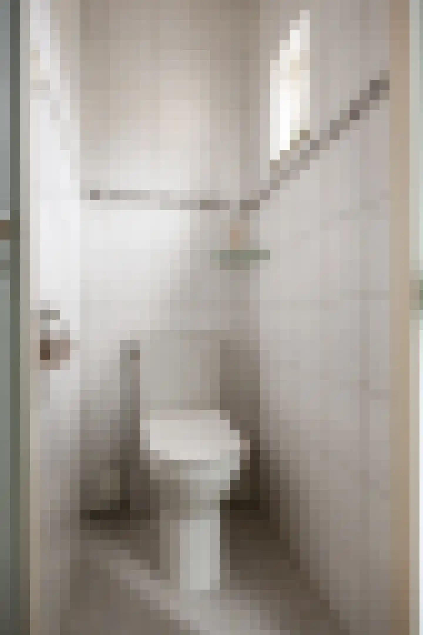 Westersingel 22 Aduard thumbnail 11