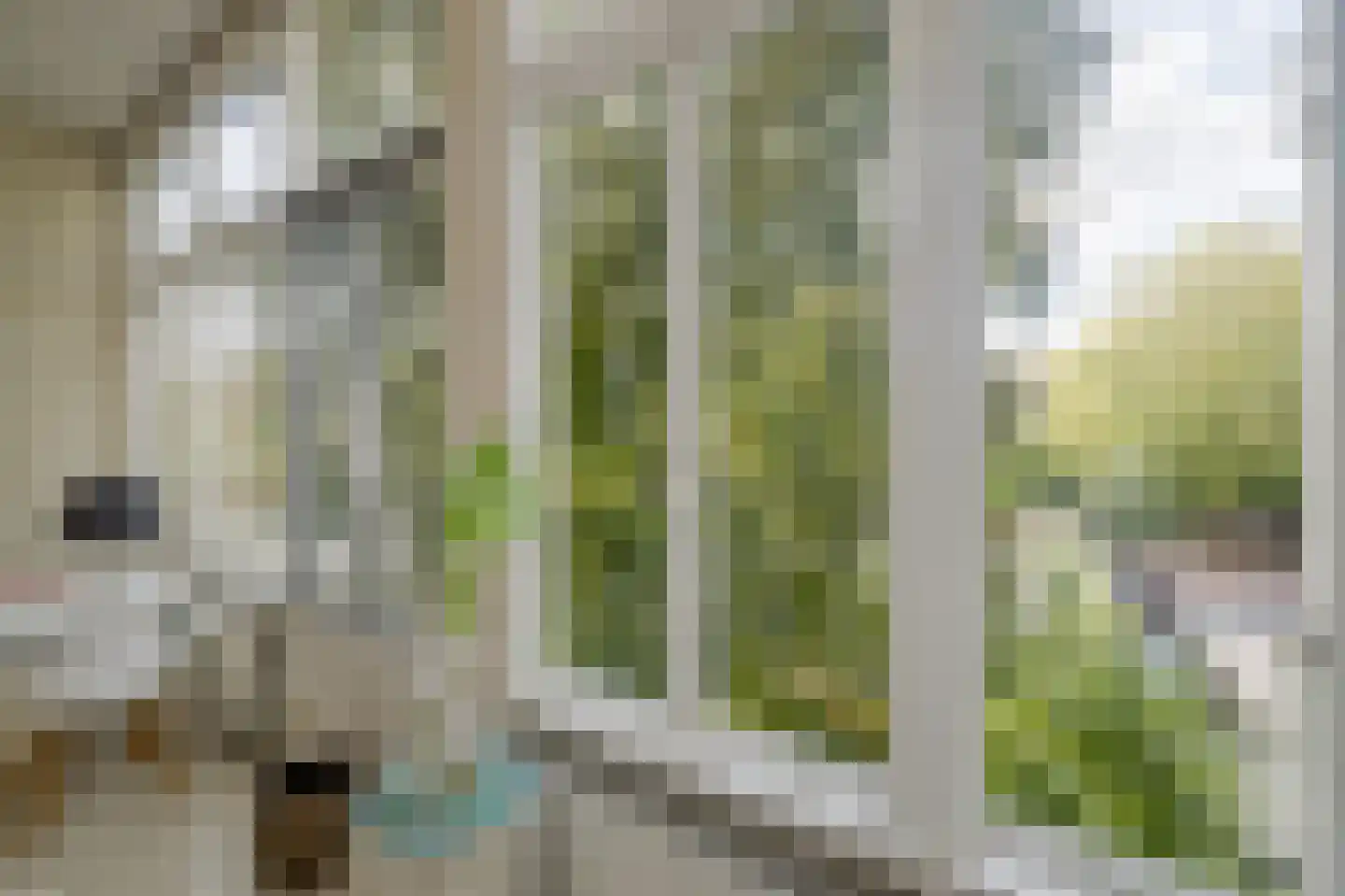 Westersingel 24 B Rotterdam thumbnail 18