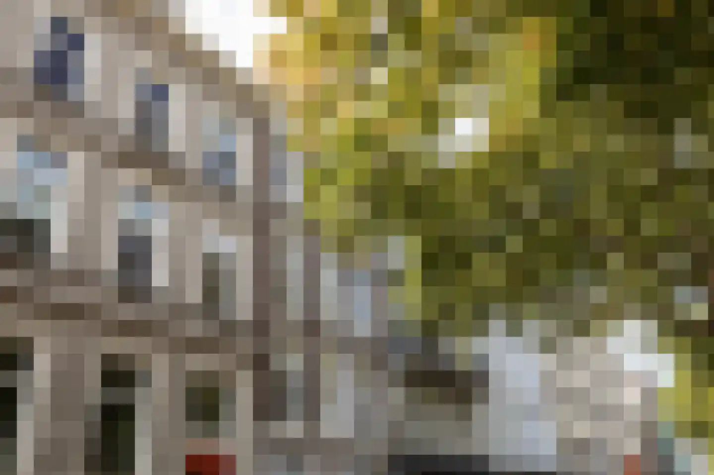 Westersingel 24 B Rotterdam thumbnail 38