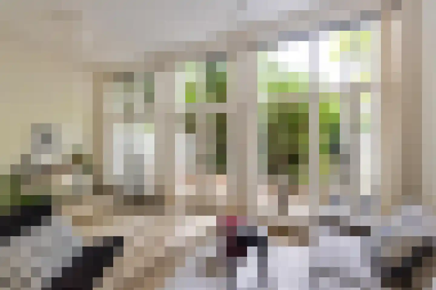 Westersingel 28 a Groningen thumbnail 12