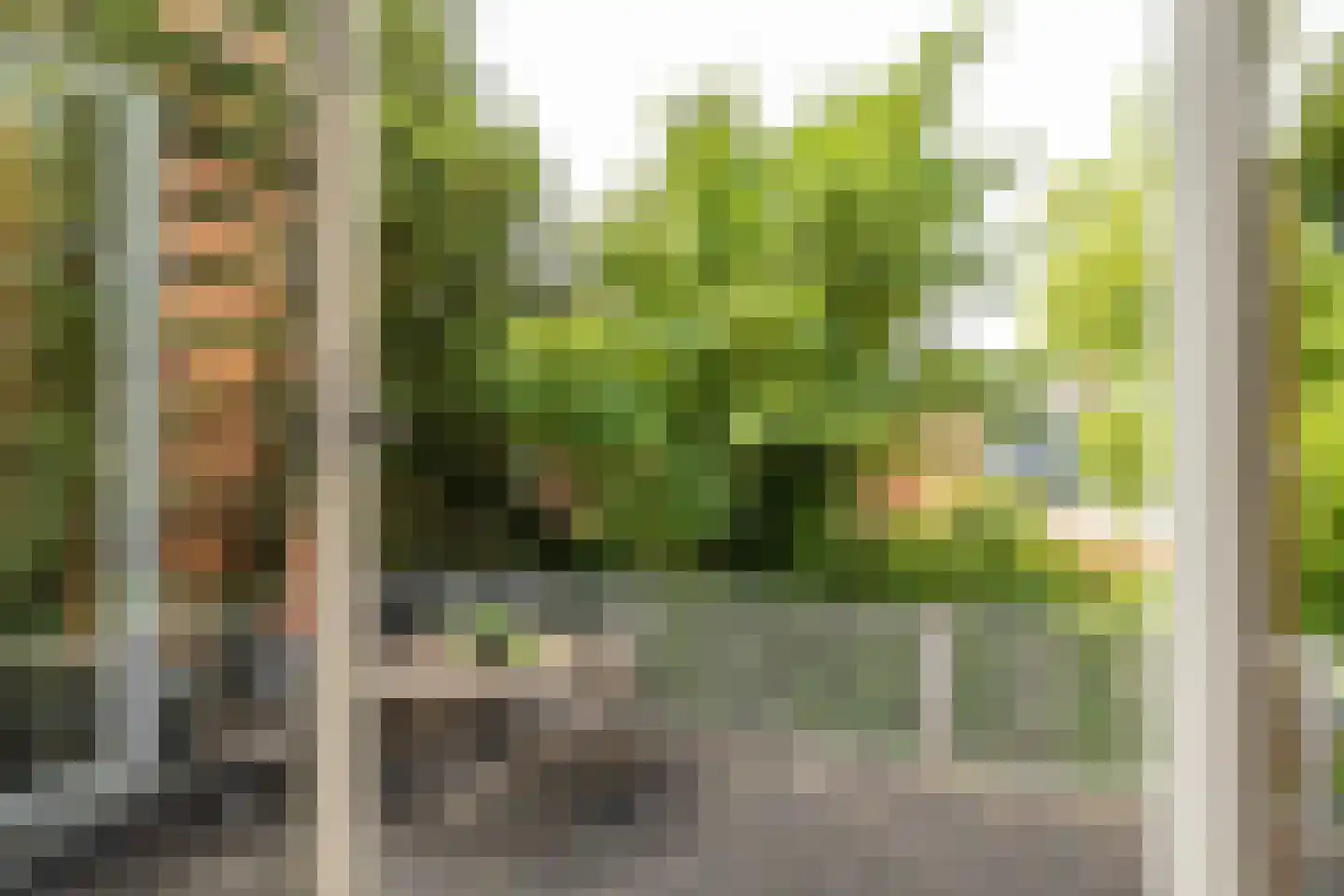 Westersingel 28 b Groningen thumbnail 23