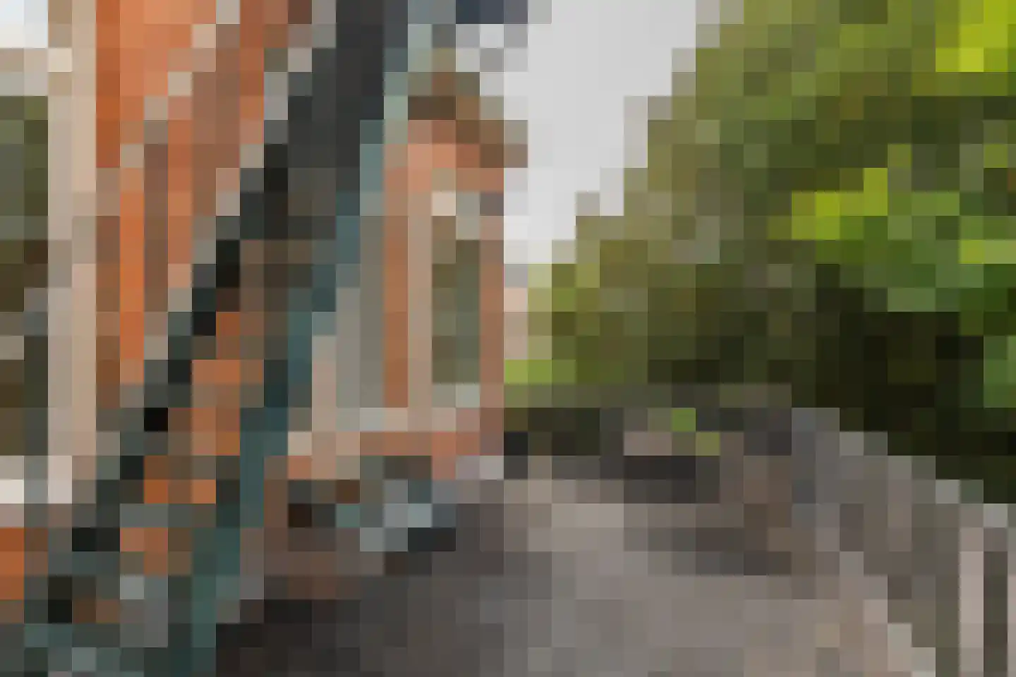 Westersingel 28 b Groningen thumbnail 24