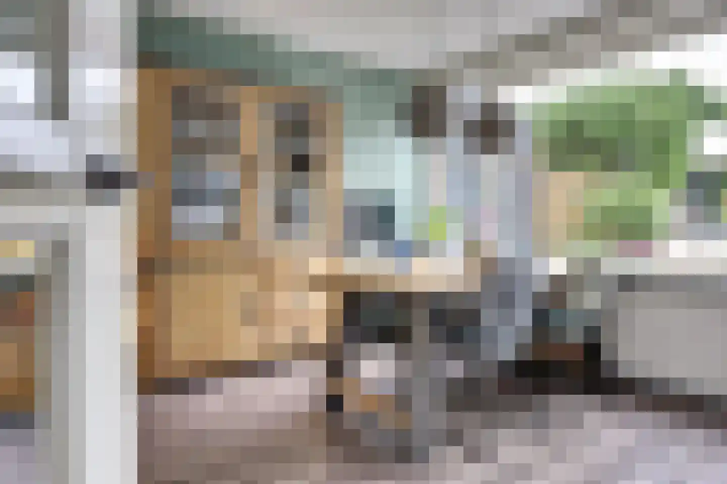 Westersingel 28 Spijkenisse thumbnail 11