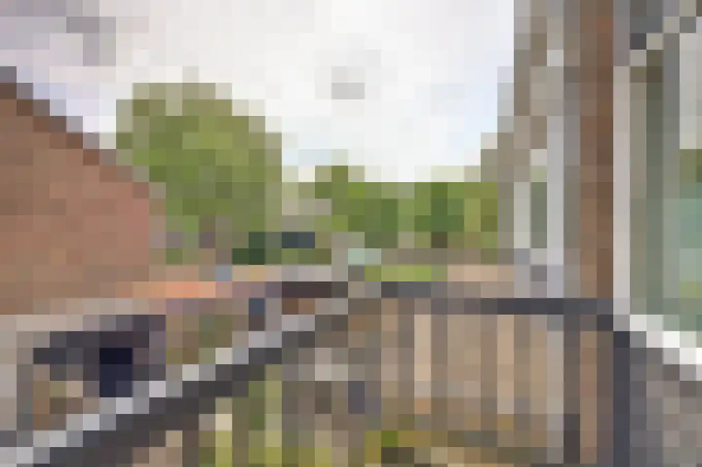 Westersingel 28 Spijkenisse thumbnail 33