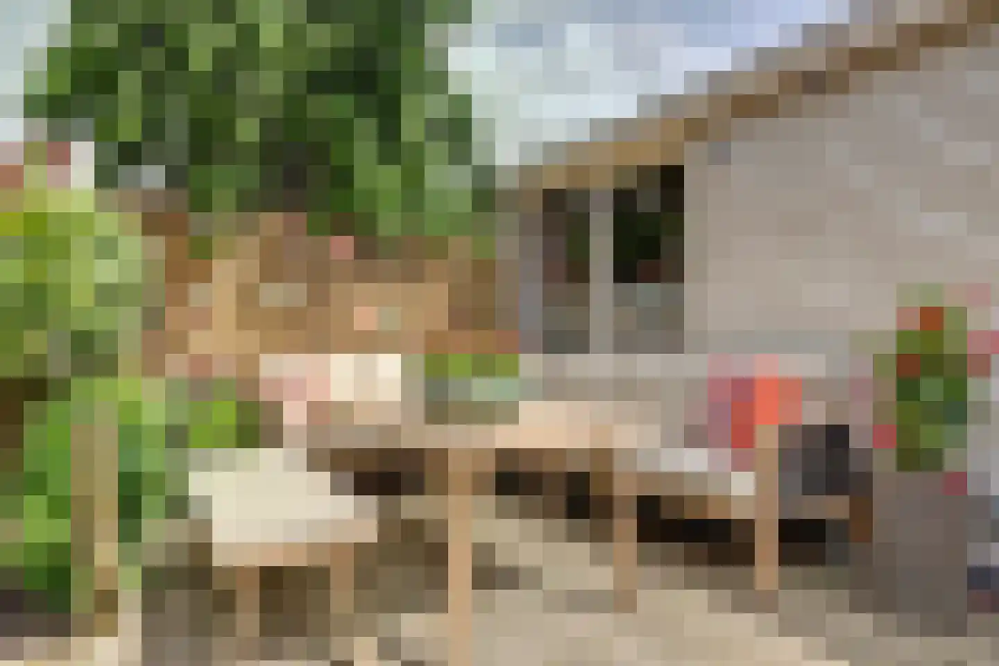 Westersingel 28 Spijkenisse thumbnail 36
