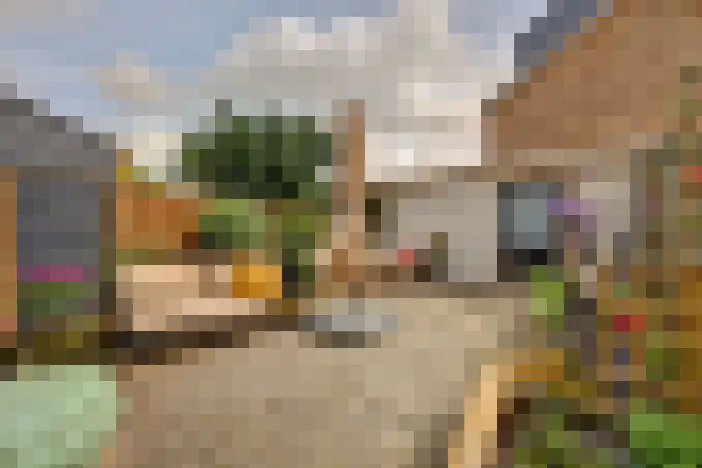 Westersingel 28 Spijkenisse thumbnail 39