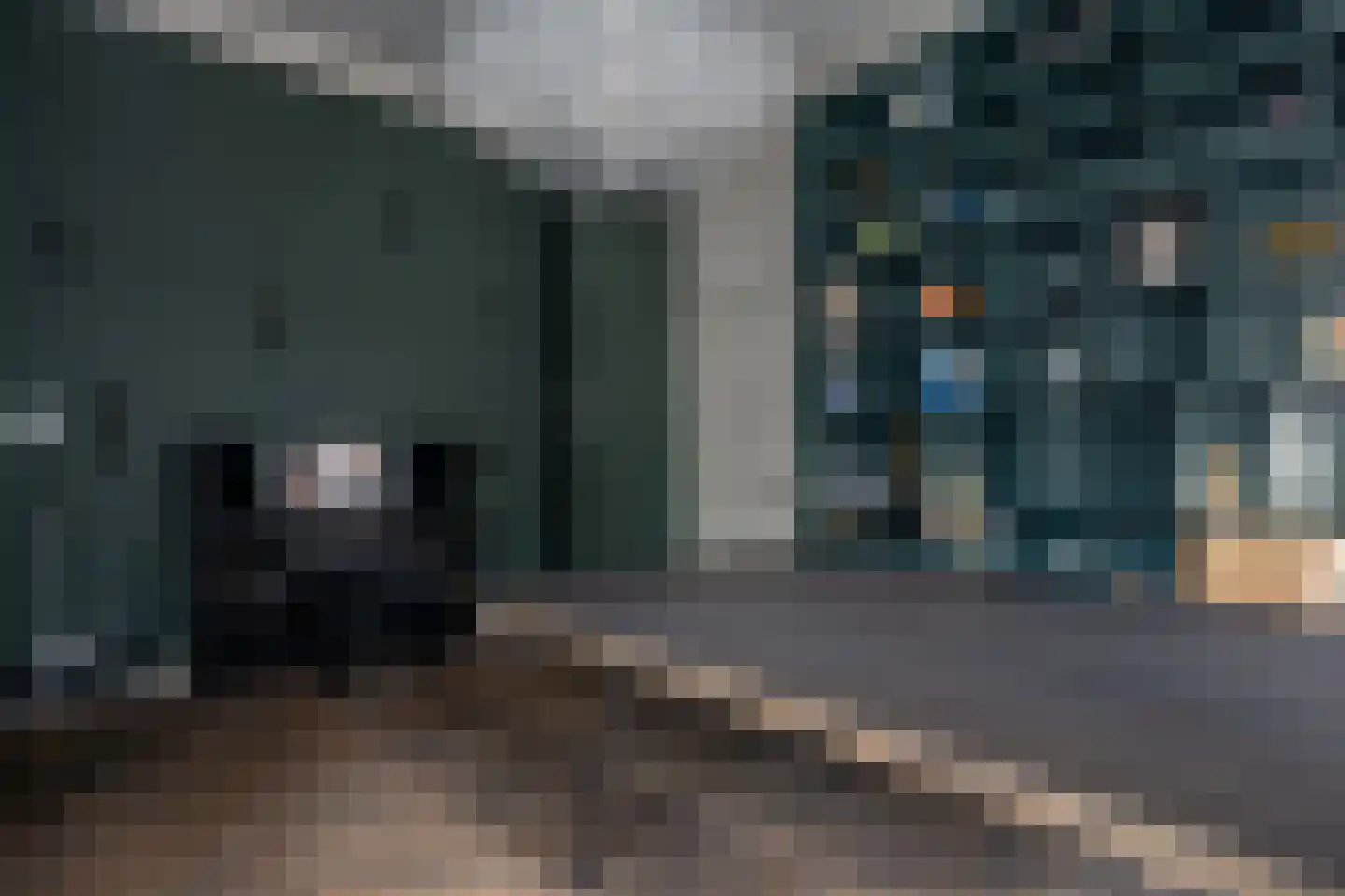 Westersingel 36 Groningen thumbnail 12