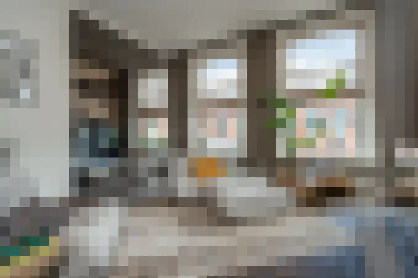 Westersingel 36 Groningen thumbnail 28
