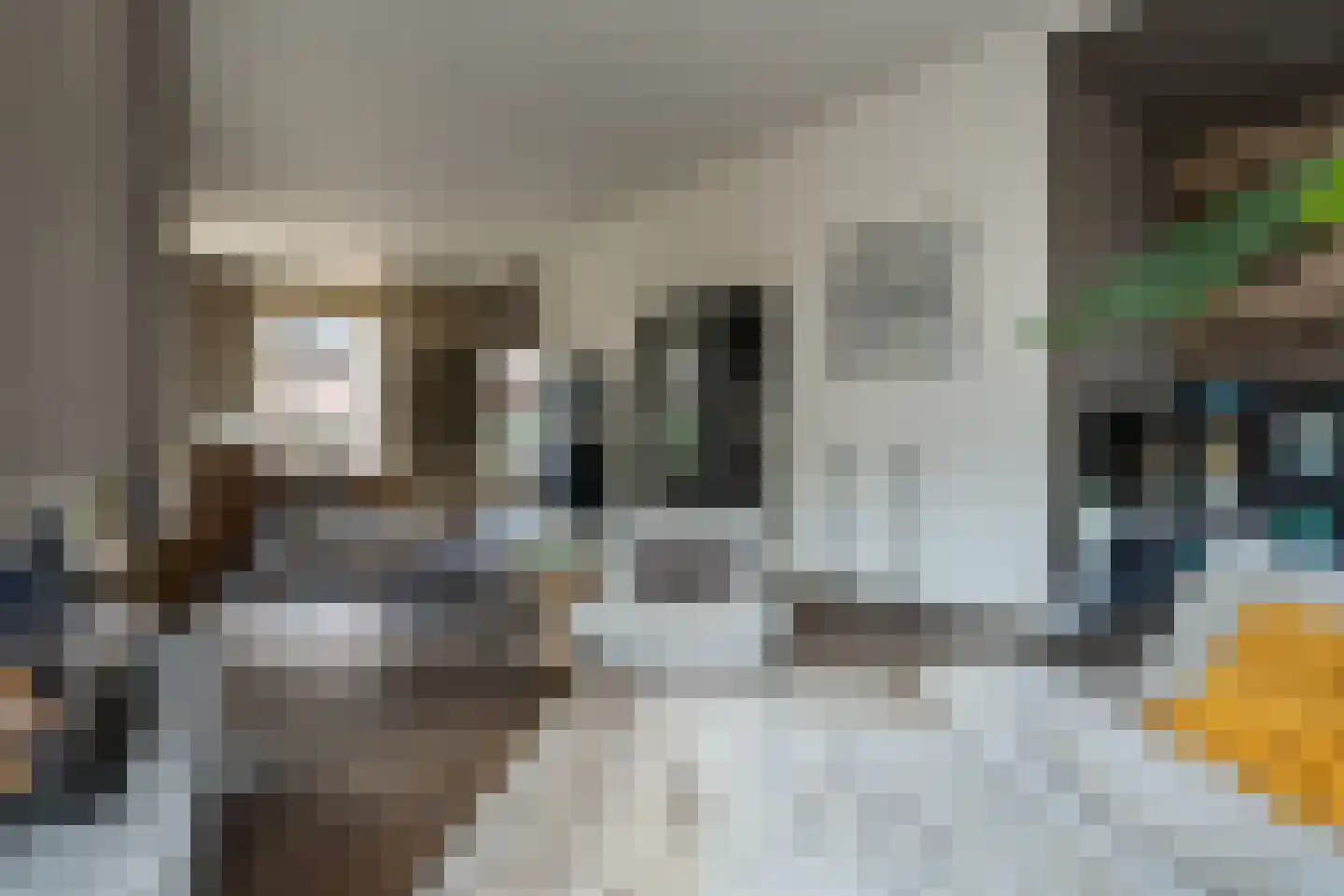 Westersingel 36 Groningen thumbnail 31