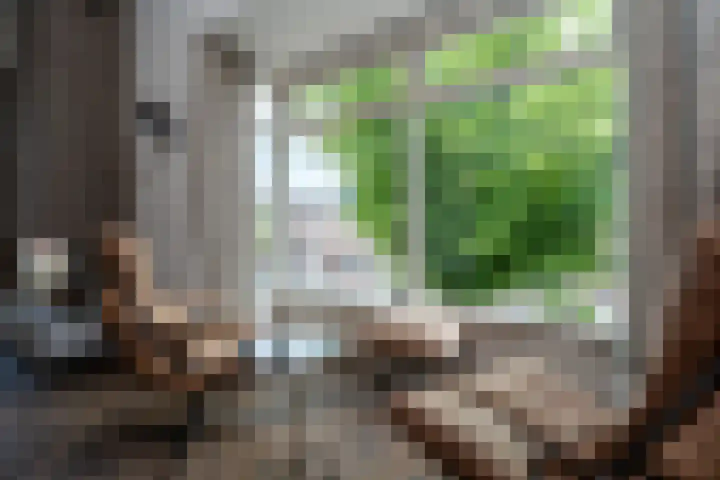 Westersingel 36 Groningen thumbnail 33