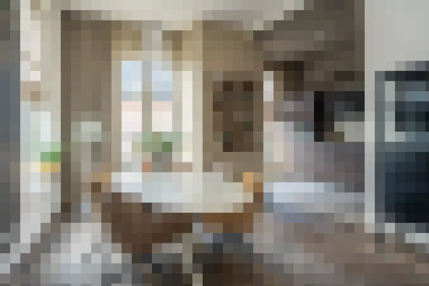 Westersingel 36 Groningen thumbnail 35