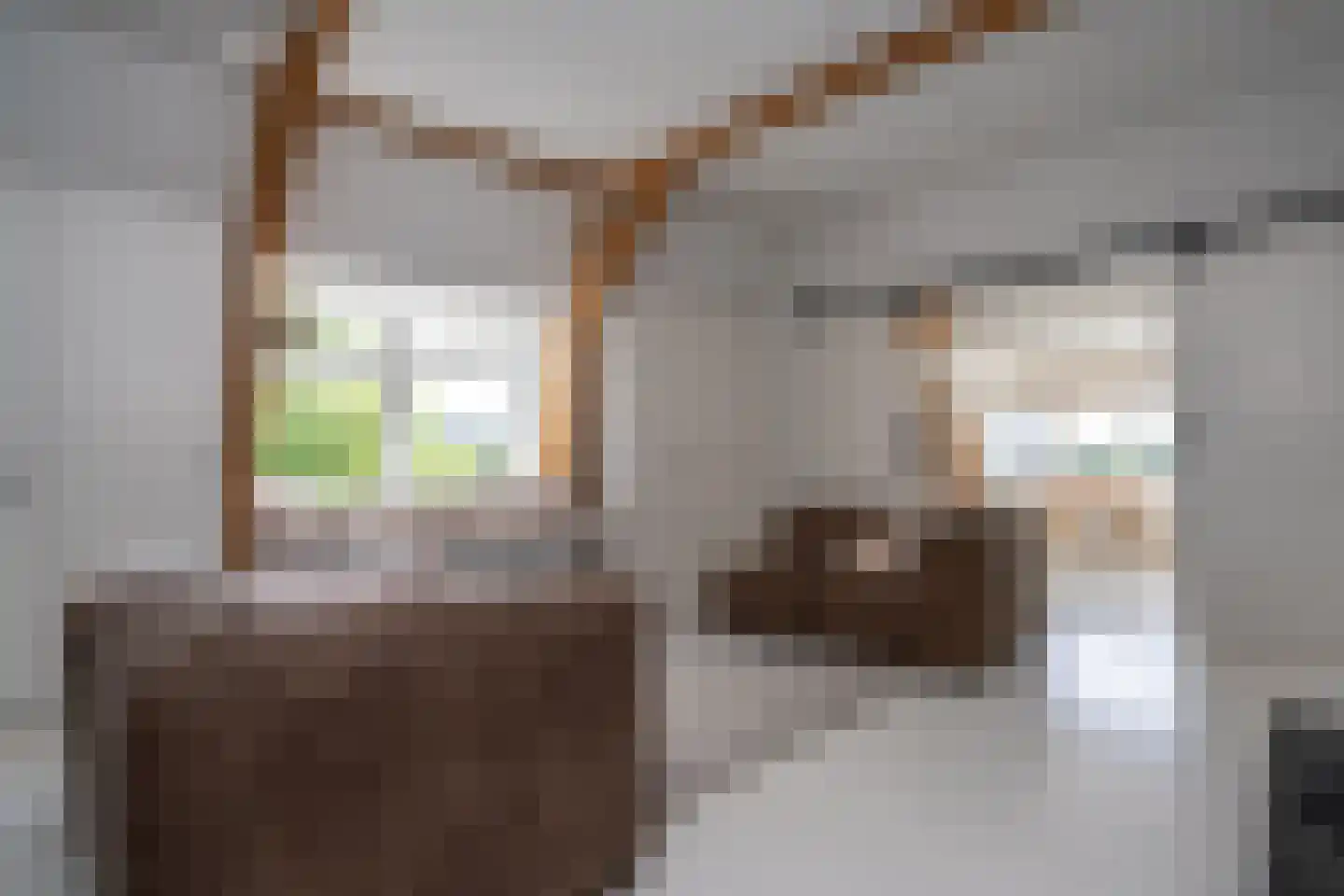 Westersingel 36 Groningen thumbnail 48