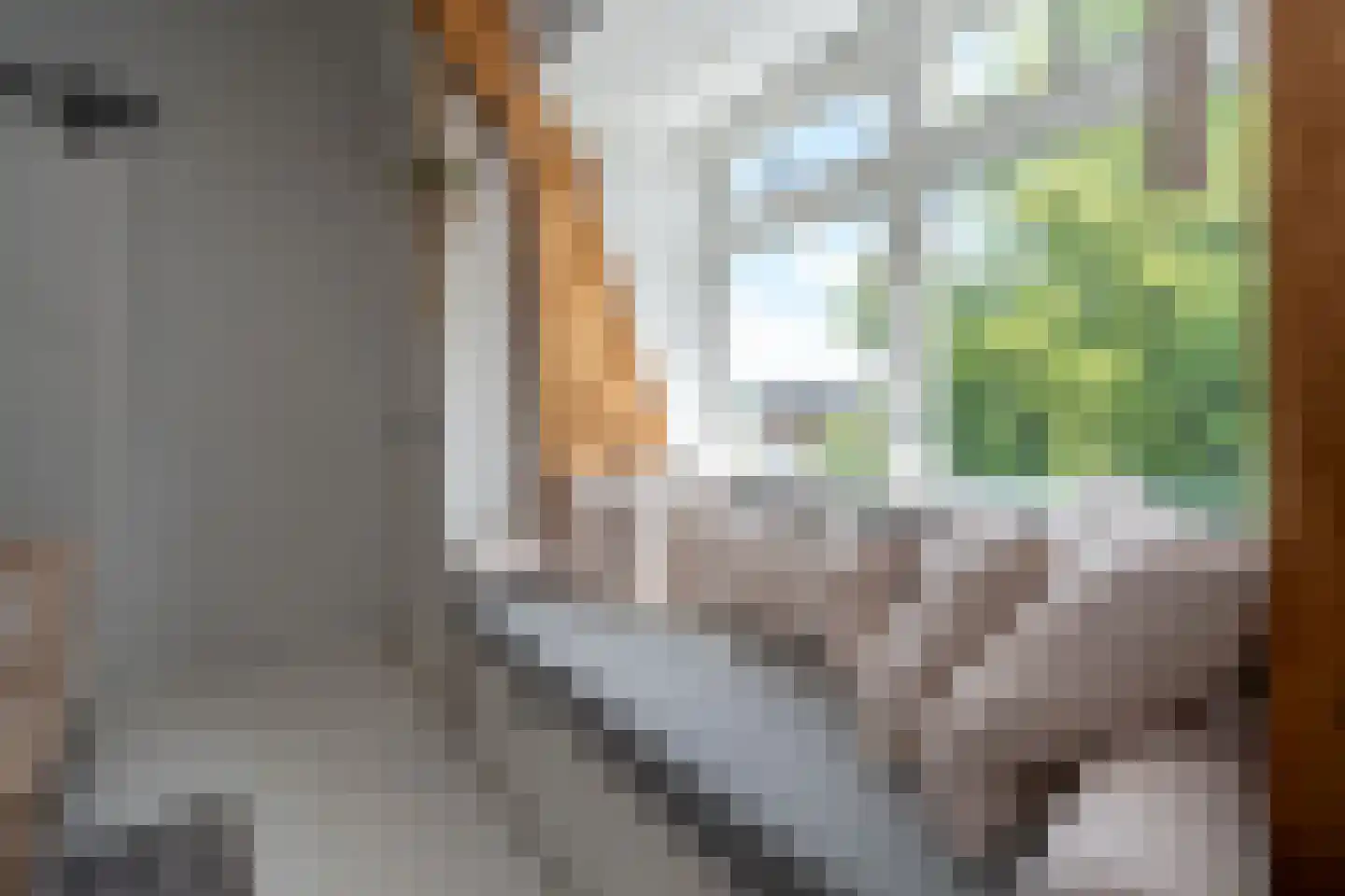 Westersingel 36 Groningen thumbnail 49