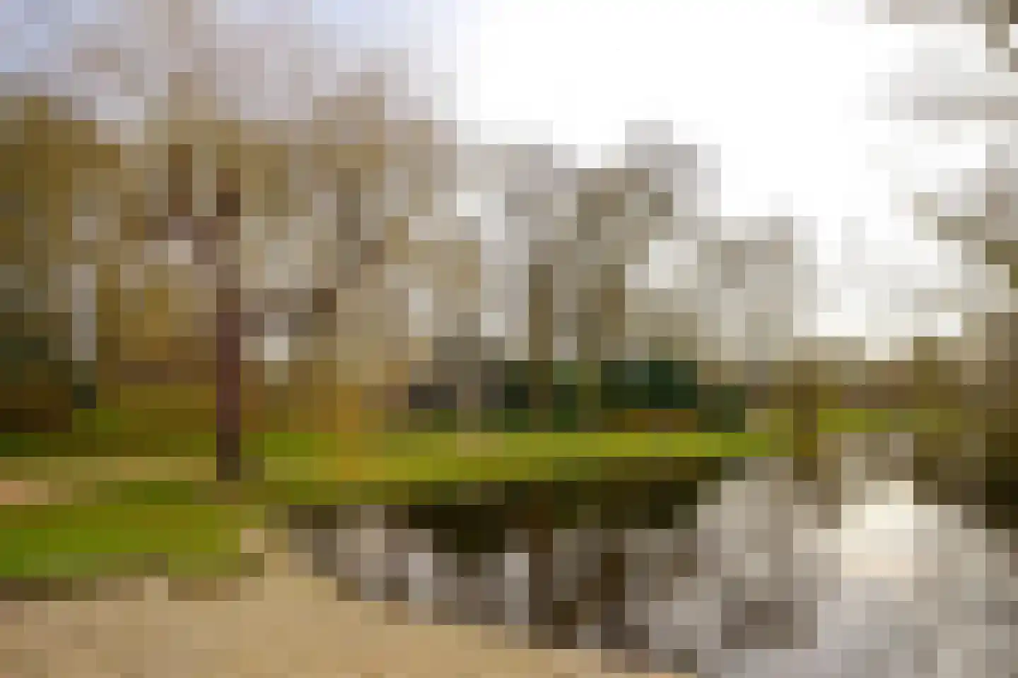 Westersingel 36 Groningen thumbnail 59