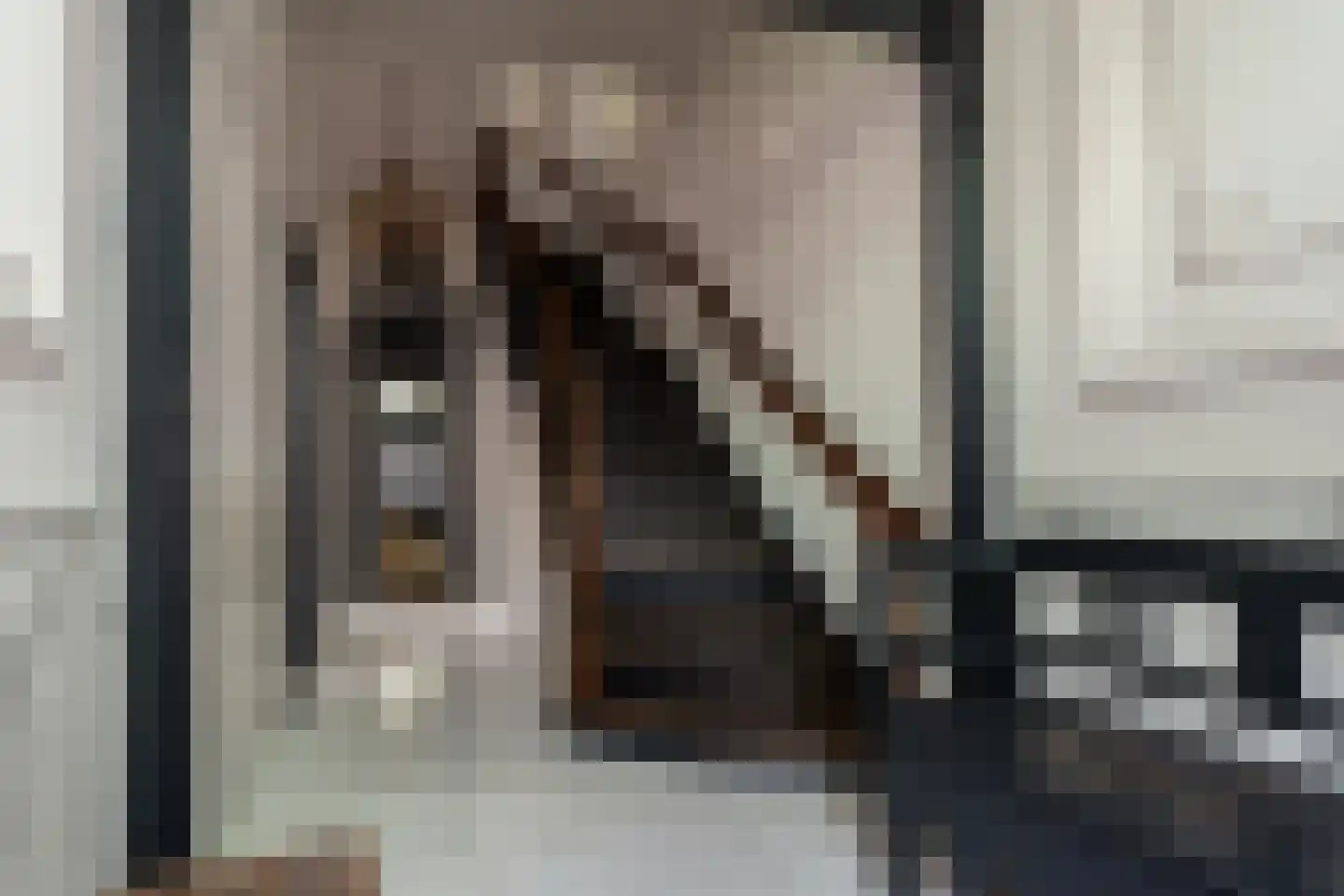 Westersingel 36 Groningen thumbnail 6