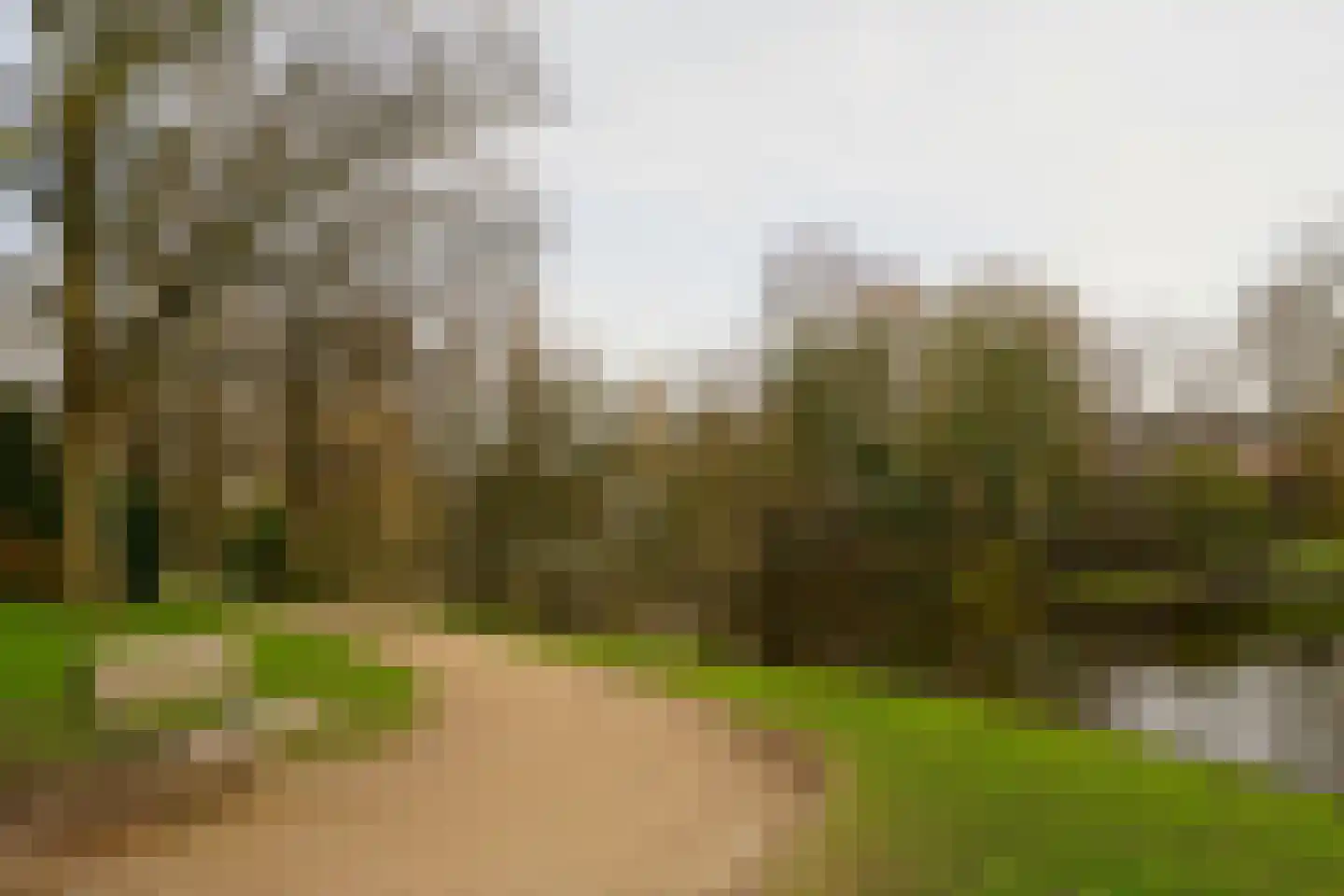 Westersingel 36 Groningen thumbnail 60