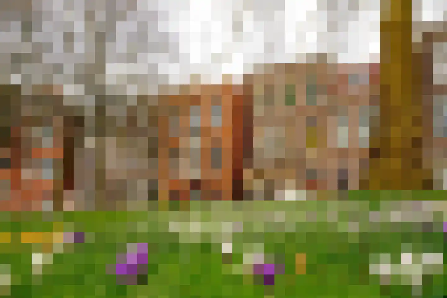 Westersingel 36 Groningen thumbnail 61