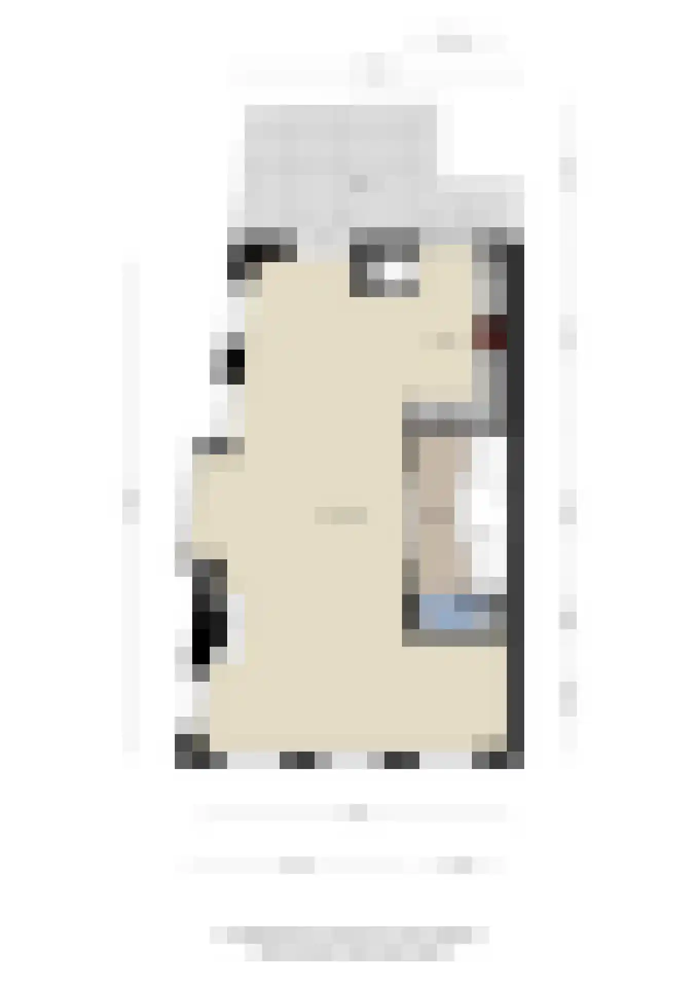 Westersingel 36 Groningen thumbnail 65