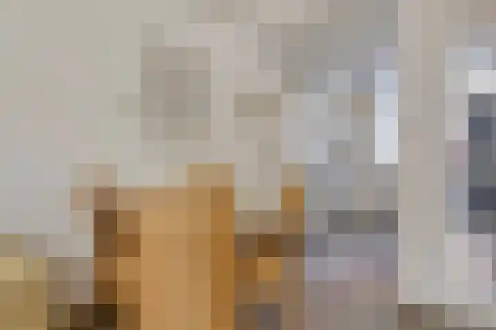 Westersingel 43 Bergen op Zoom thumbnail 12