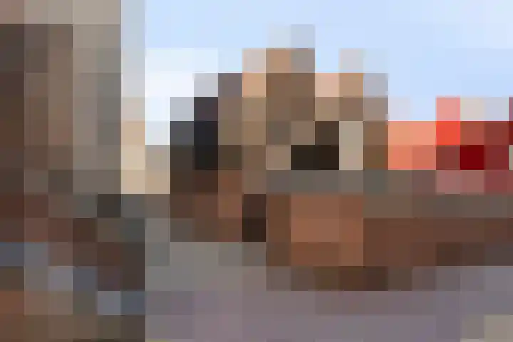 Westersingel 43 Bergen op Zoom thumbnail 33