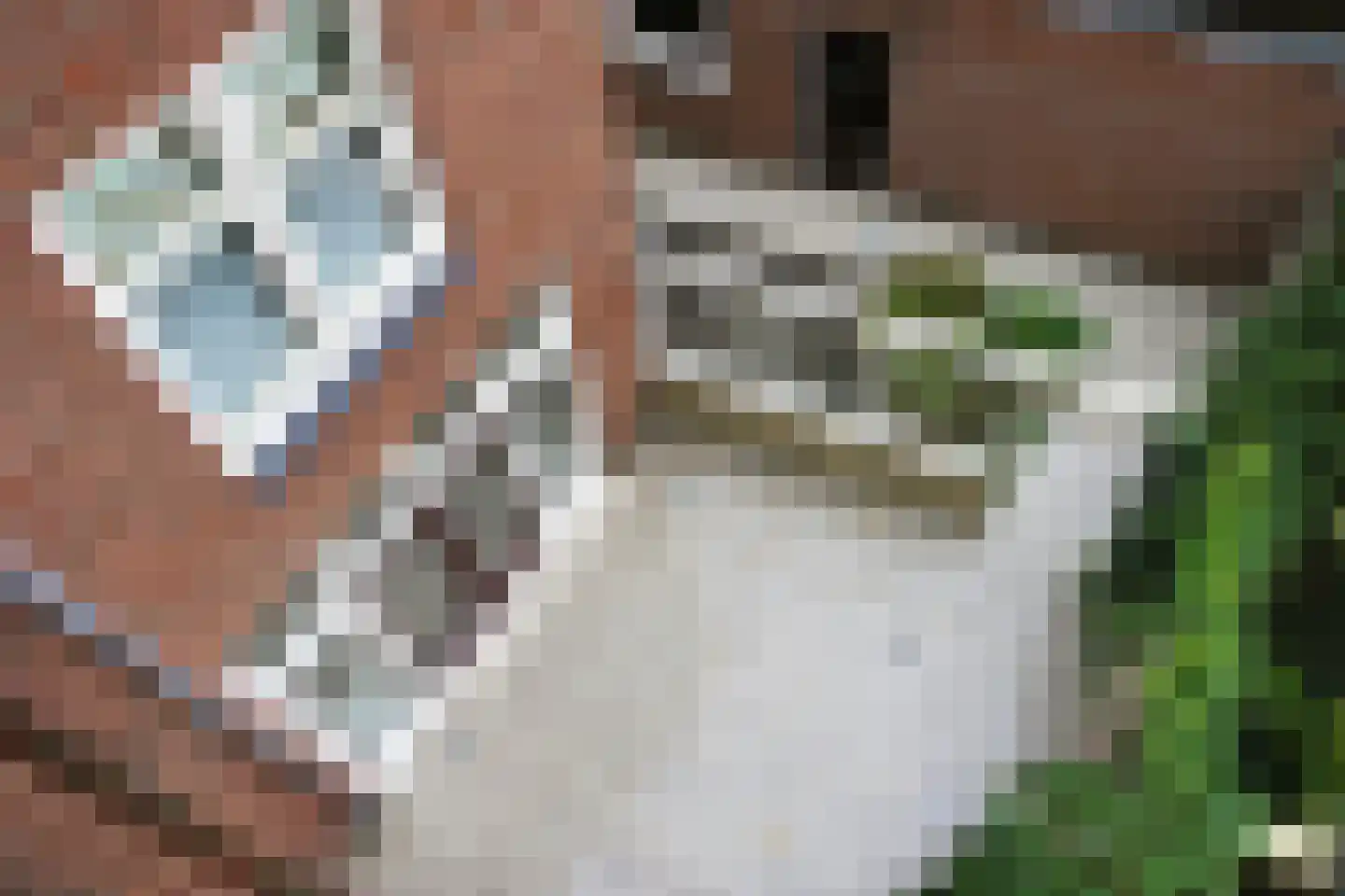 Westersingel 49 Groningen thumbnail 13