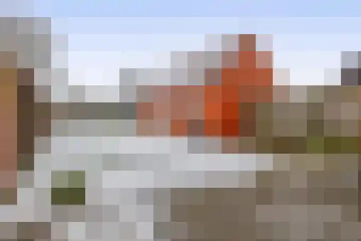 Westersingel 57 Noordbroek thumbnail 22