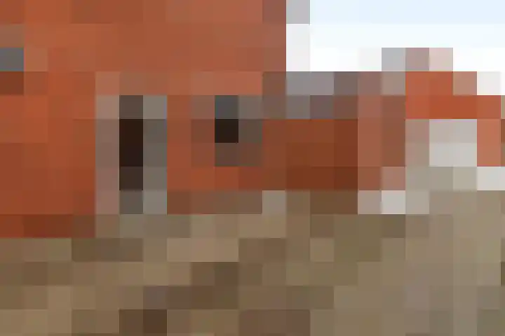 Westersingel 57 Noordbroek thumbnail 25