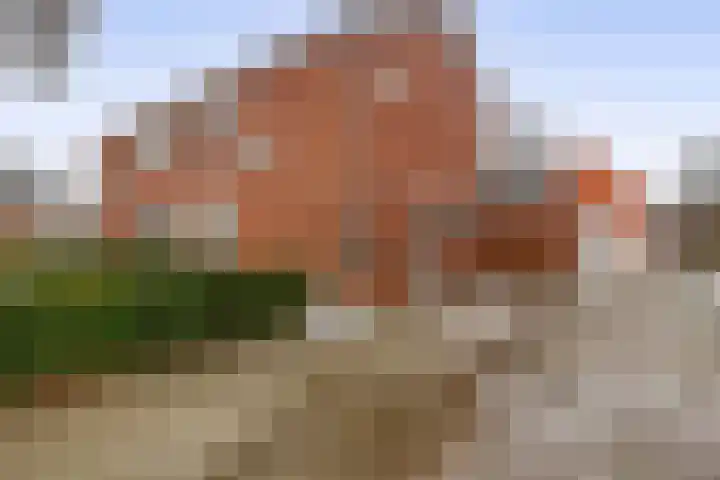 Westersingel 57 Noordbroek thumbnail 26