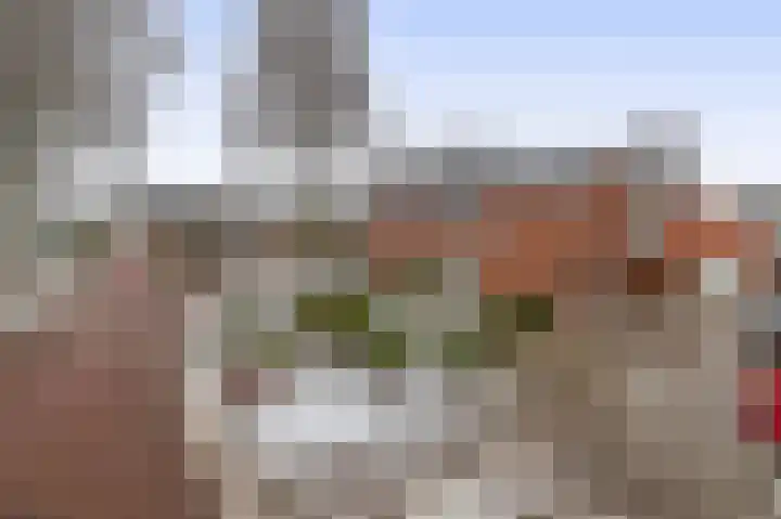 Westersingel 57 Noordbroek thumbnail 4