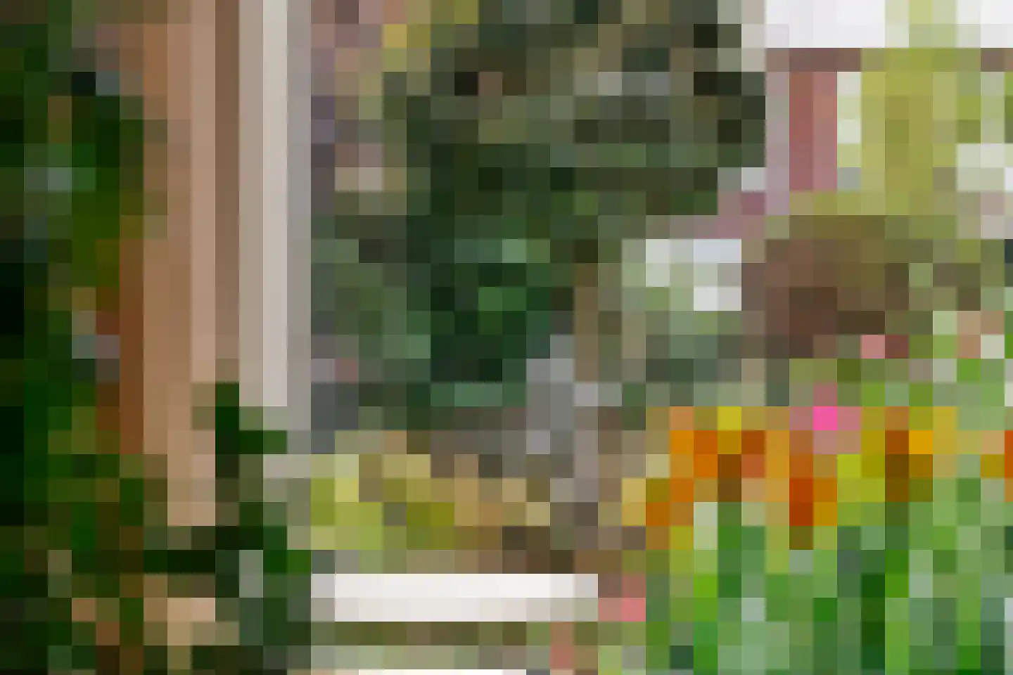 Westersingel 62 Culemborg thumbnail 10