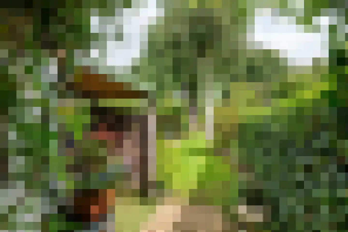 Westersingel 62 Culemborg thumbnail 25