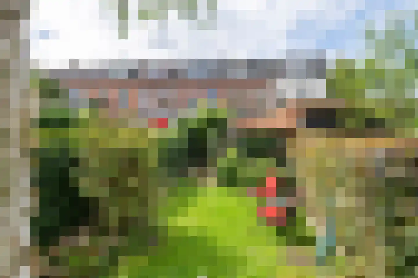 Westersingel 62 Culemborg thumbnail 28